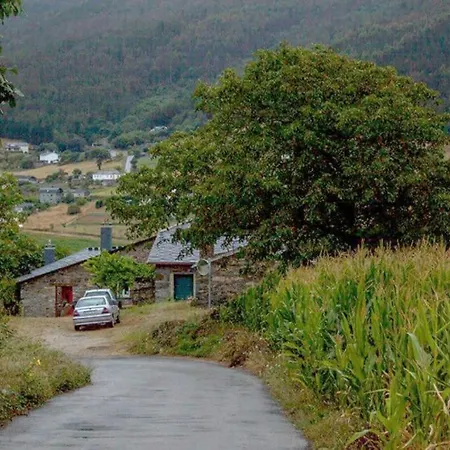 Casa De Flores / Lugo