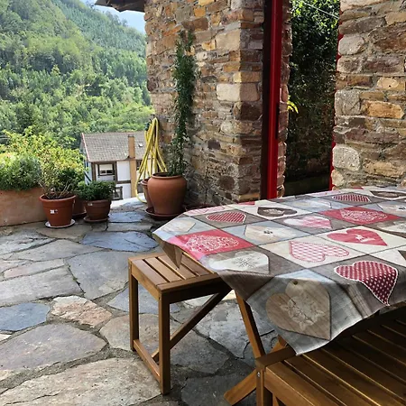 Casa De Flores / Lugo A Pontenova